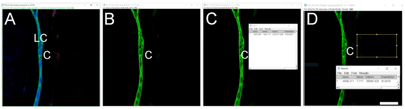 Fig. 2