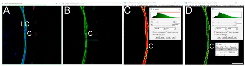 Fig. 3