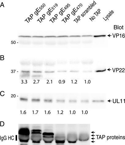 FIG. 6.