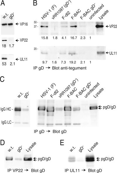 FIG. 8.