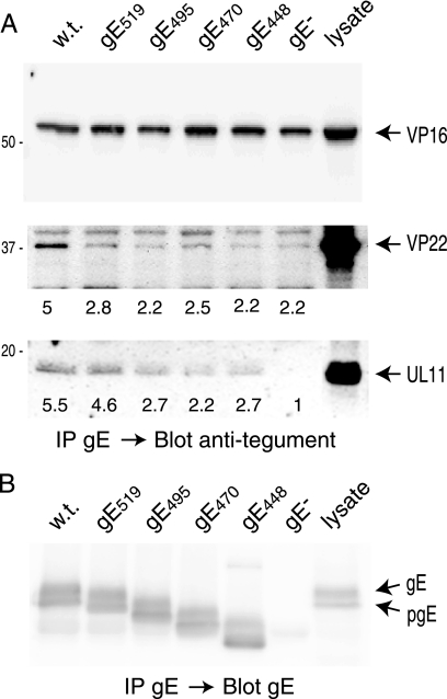 FIG. 7.