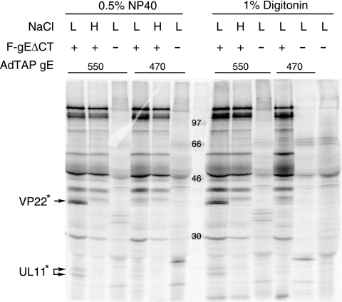 FIG. 5.