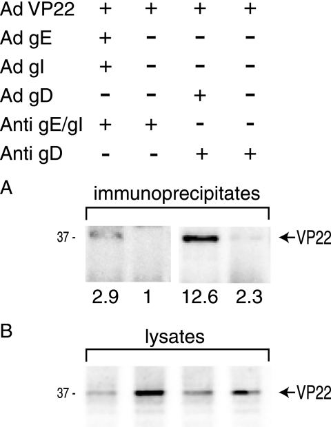 FIG. 9.