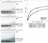 Figure 2—figure supplement 1.