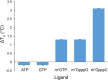 Figure 2—figure supplement 4.