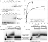 Figure 2—figure supplement 5.