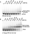 Figure 2—figure supplement 2.