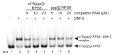 Figure 2—figure supplement 3.