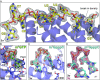 Figure 1—figure supplement 1.