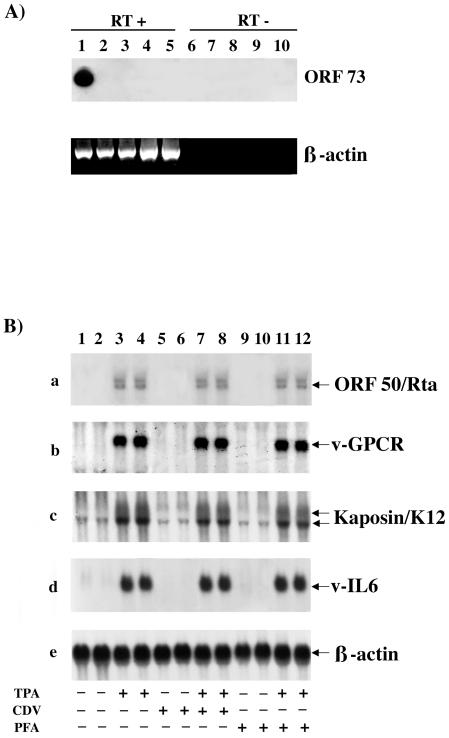 FIG. 5.