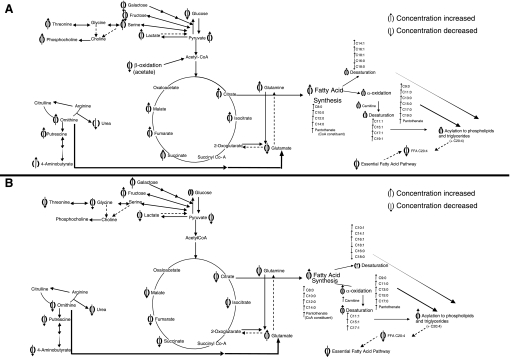 Fig. 8.