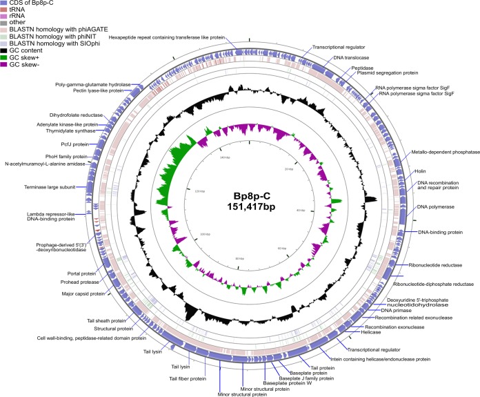 FIG 3