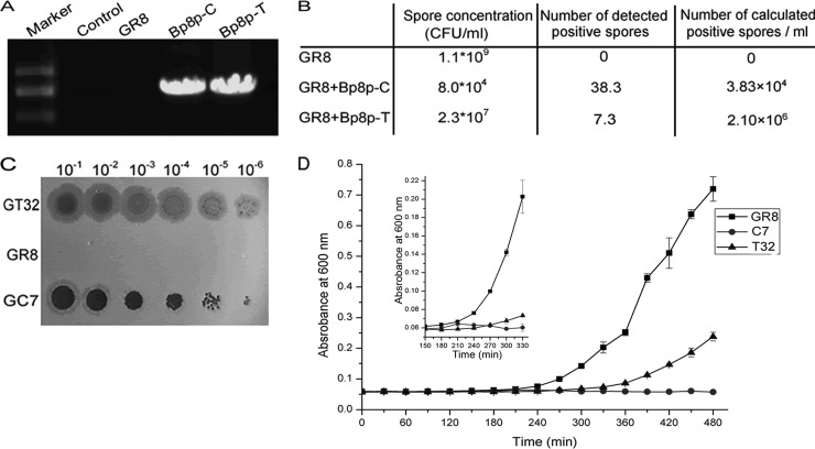 FIG 6