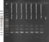 Fig 9