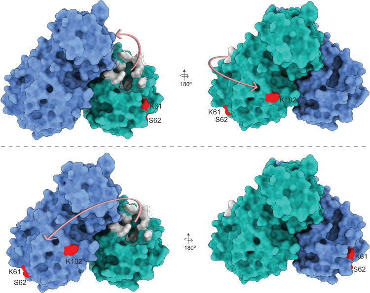 Fig. 7.