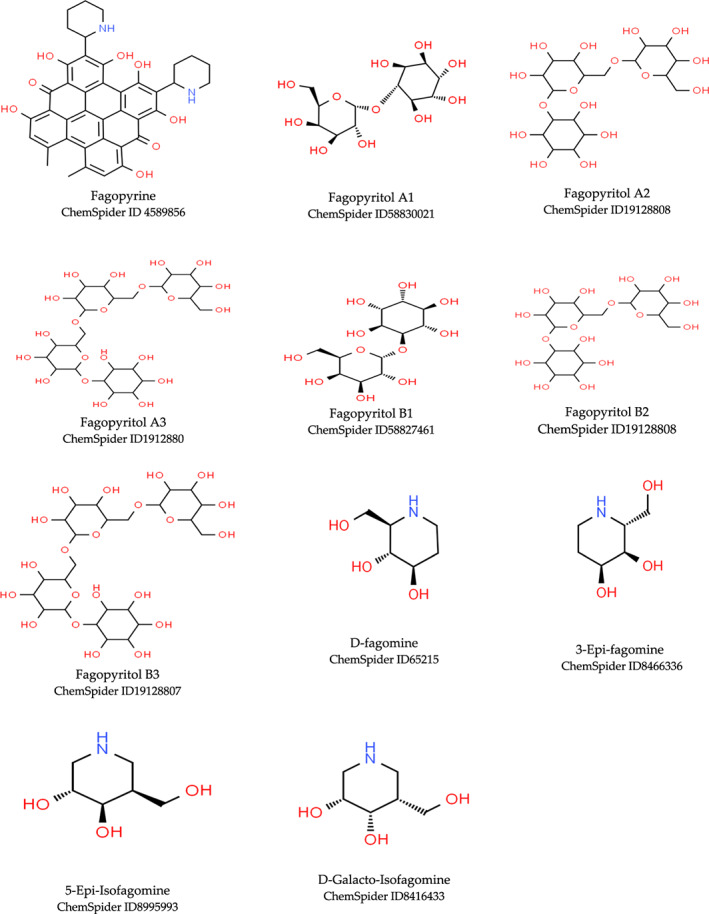 FIGURE 2