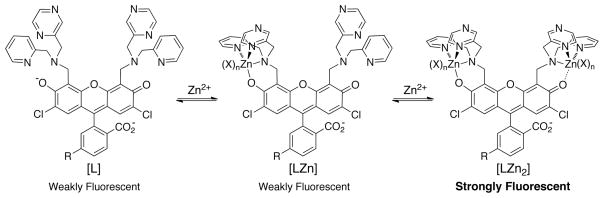 Scheme 2