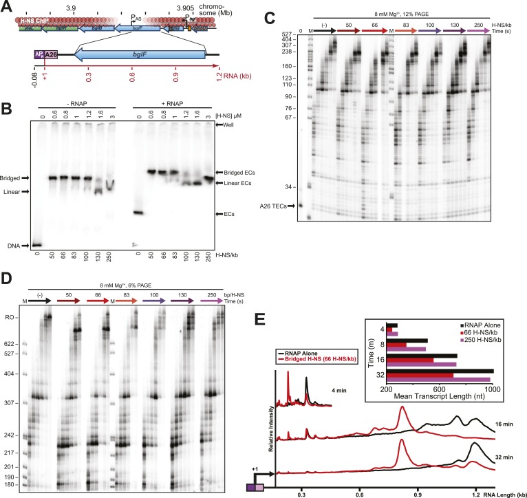 Figure 2—figure supplement 3.