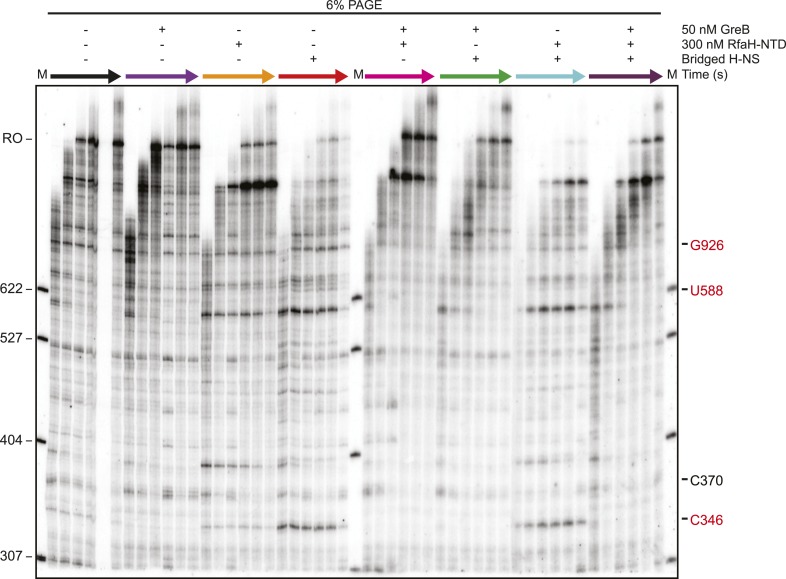 Figure 6—figure supplement 2.