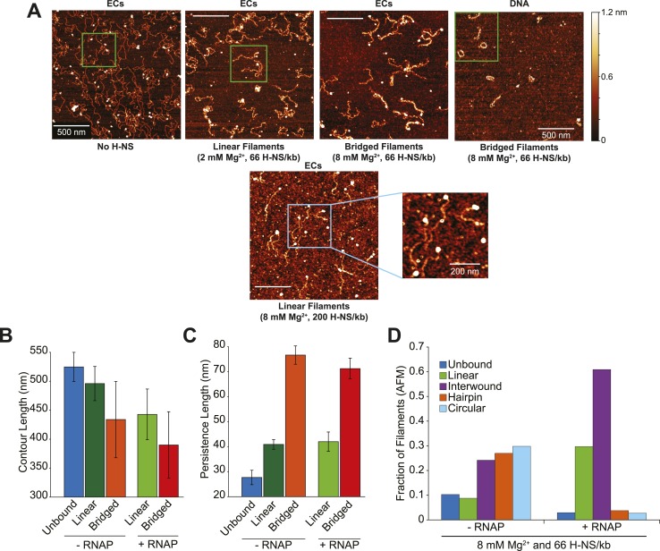 Figure 1—figure supplement 2.