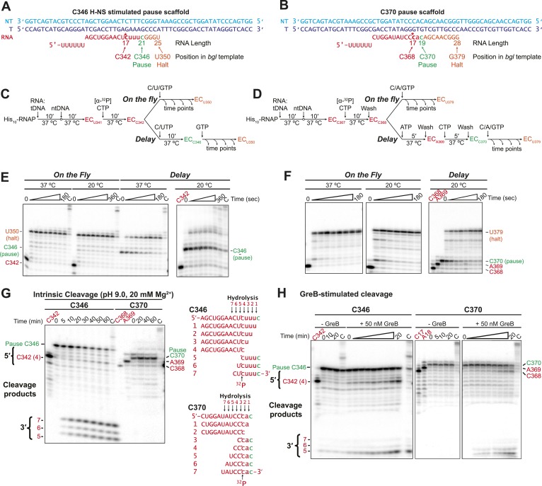 Figure 6—figure supplement 3.