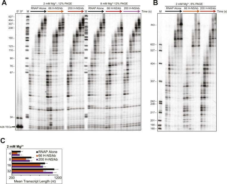 Figure 2—figure supplement 2.