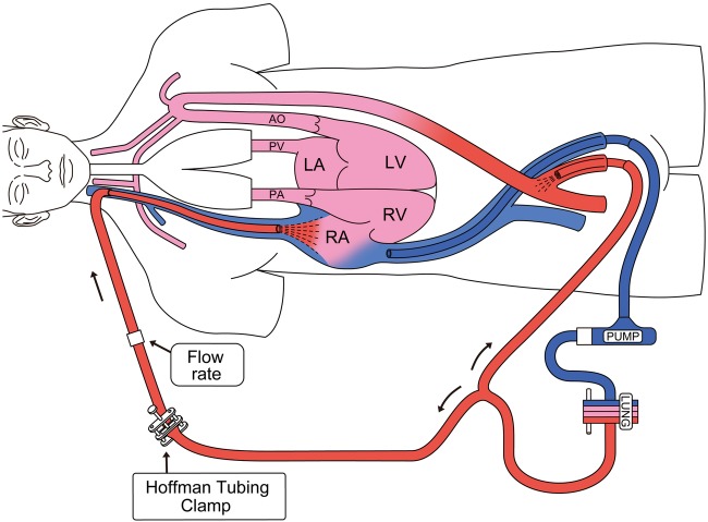 Figure 1