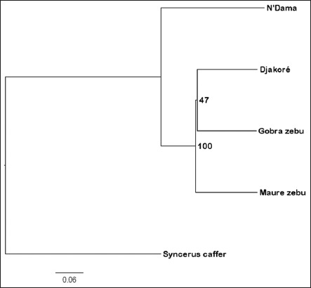 Figure-5