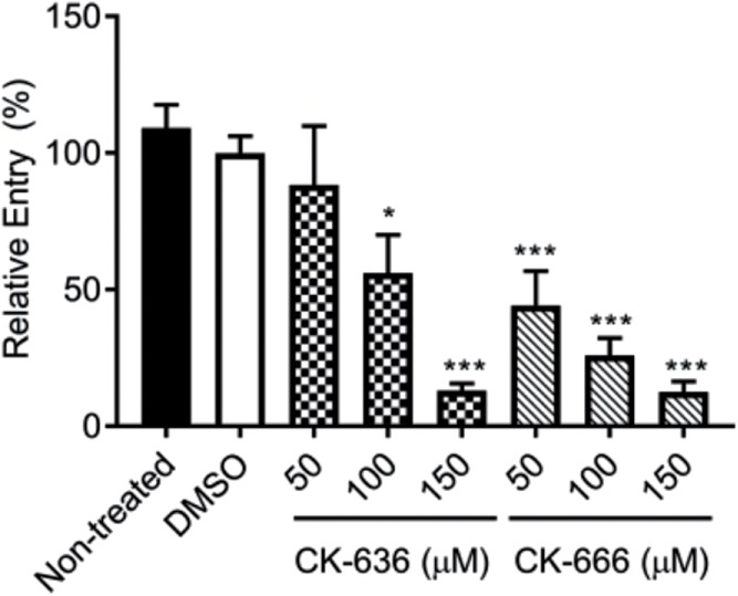 FIGURE 5: