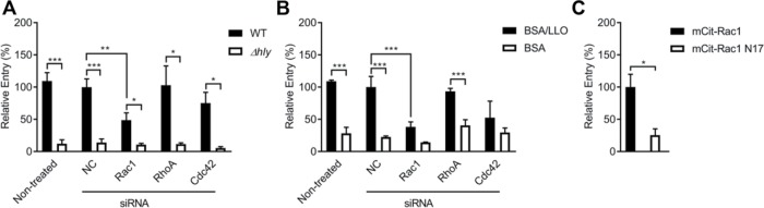 FIGURE 2: