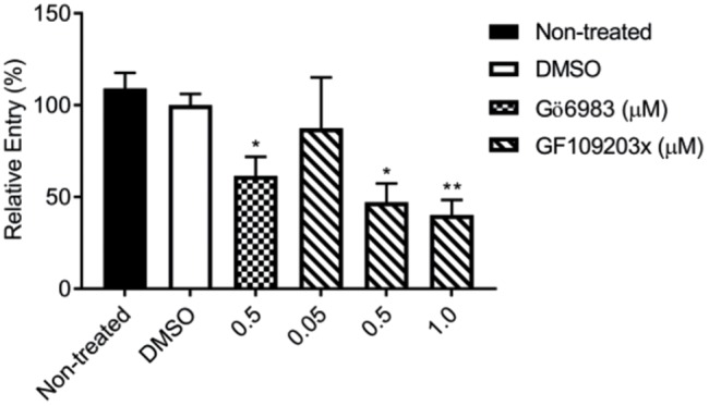 FIGURE 6: