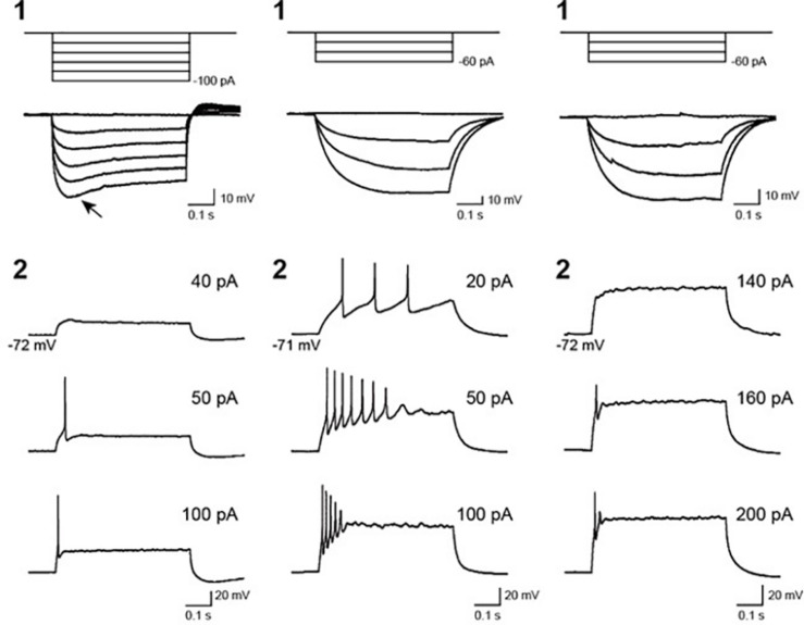 FIGURE 4