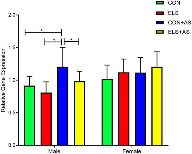 FIGURE 3