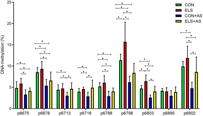 FIGURE 6