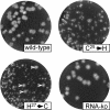FIG. 4.