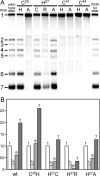FIG. 3.