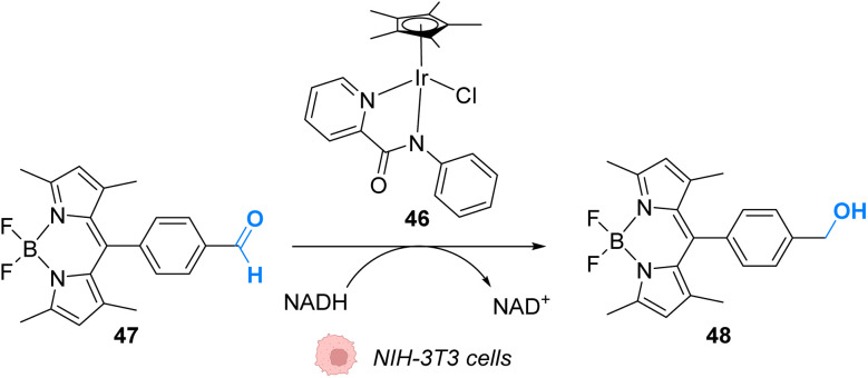 Fig. 19