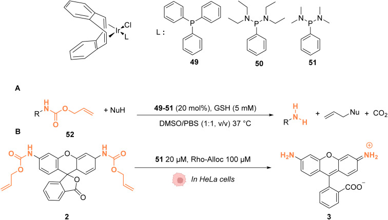 Fig. 20