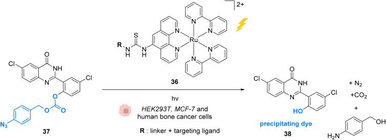 Fig. 14