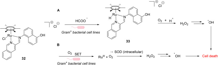 Fig. 10