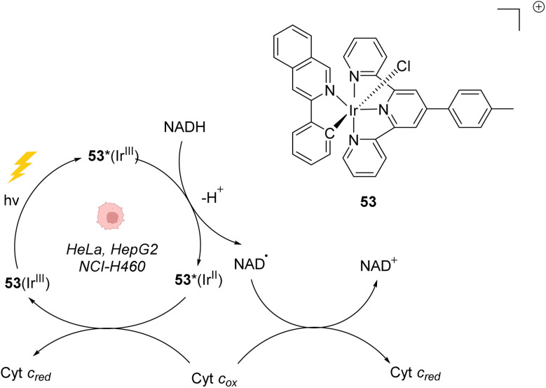 Fig. 21