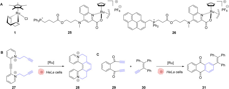 Fig. 9