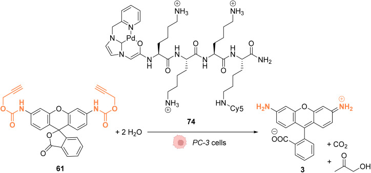 Fig. 27