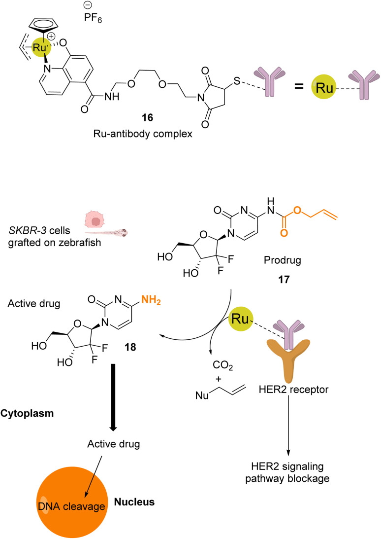 Fig. 6