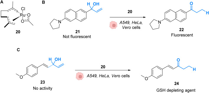 Fig. 8