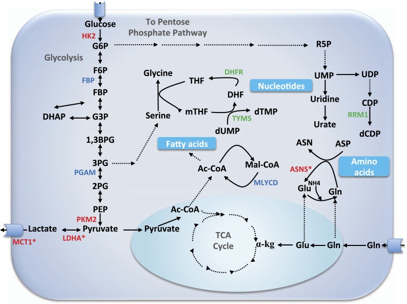 Figure 3—figure supplement 1.