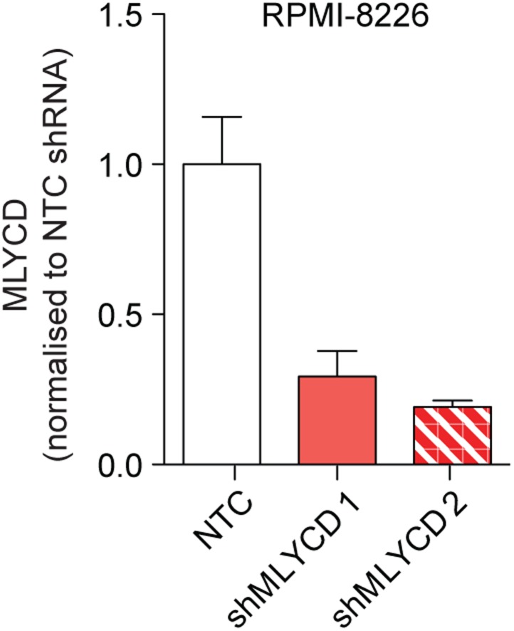 Figure 5—figure supplement 1.