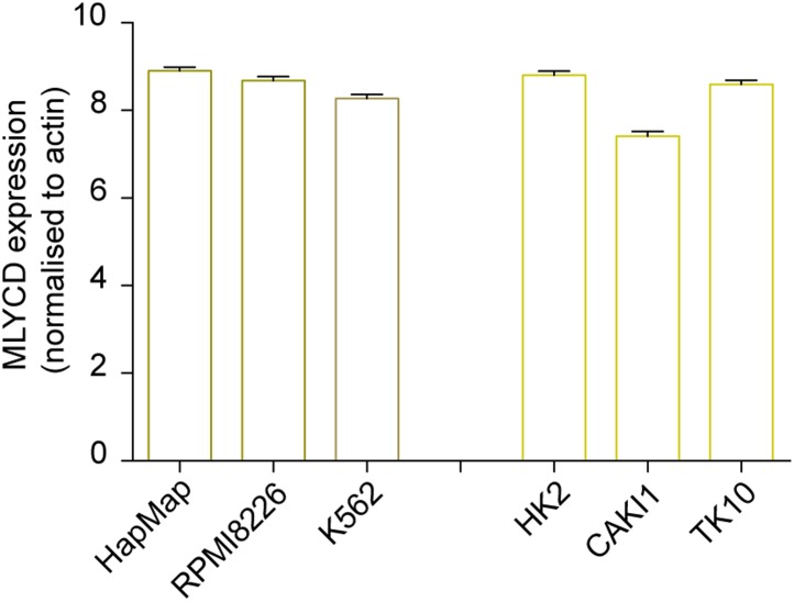 Figure 4—figure supplement 1.