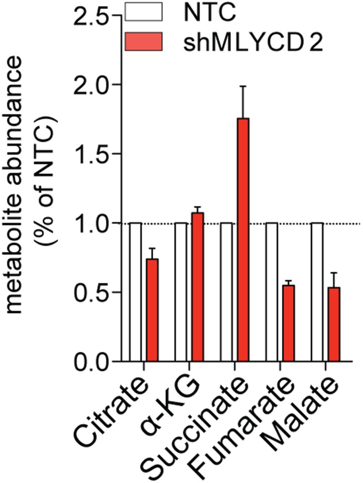 Figure 5—figure supplement 4.