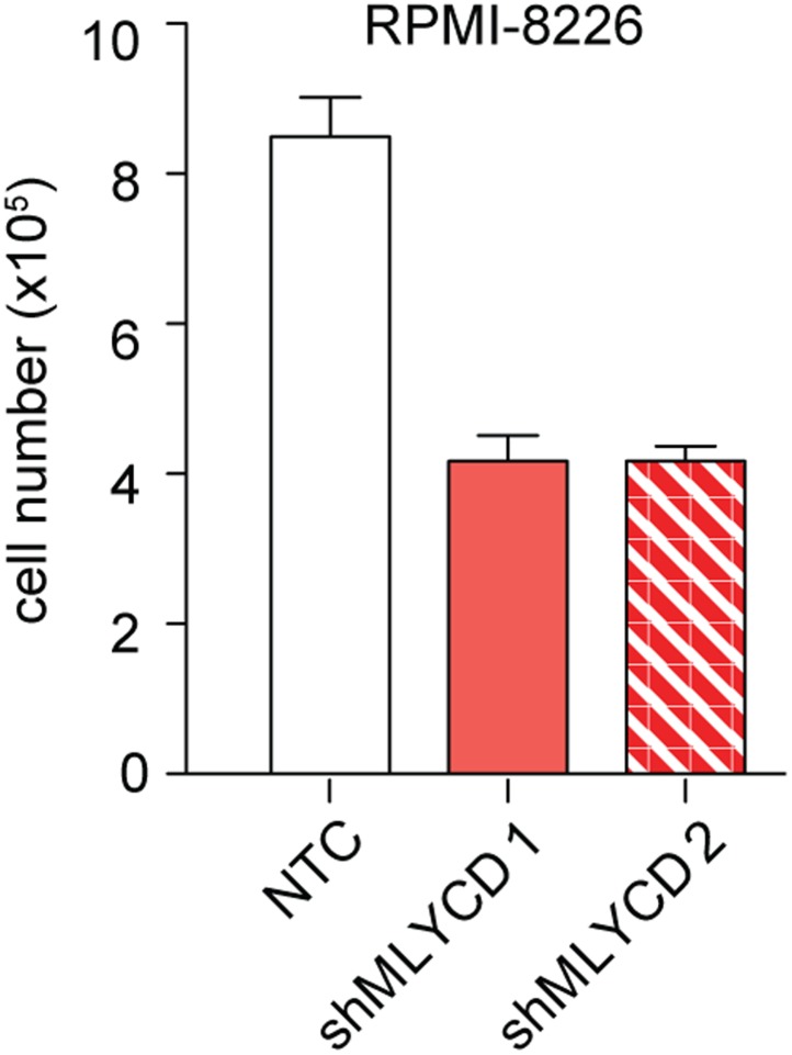 Figure 5—figure supplement 2.